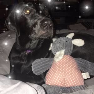 Meet your Posher, April